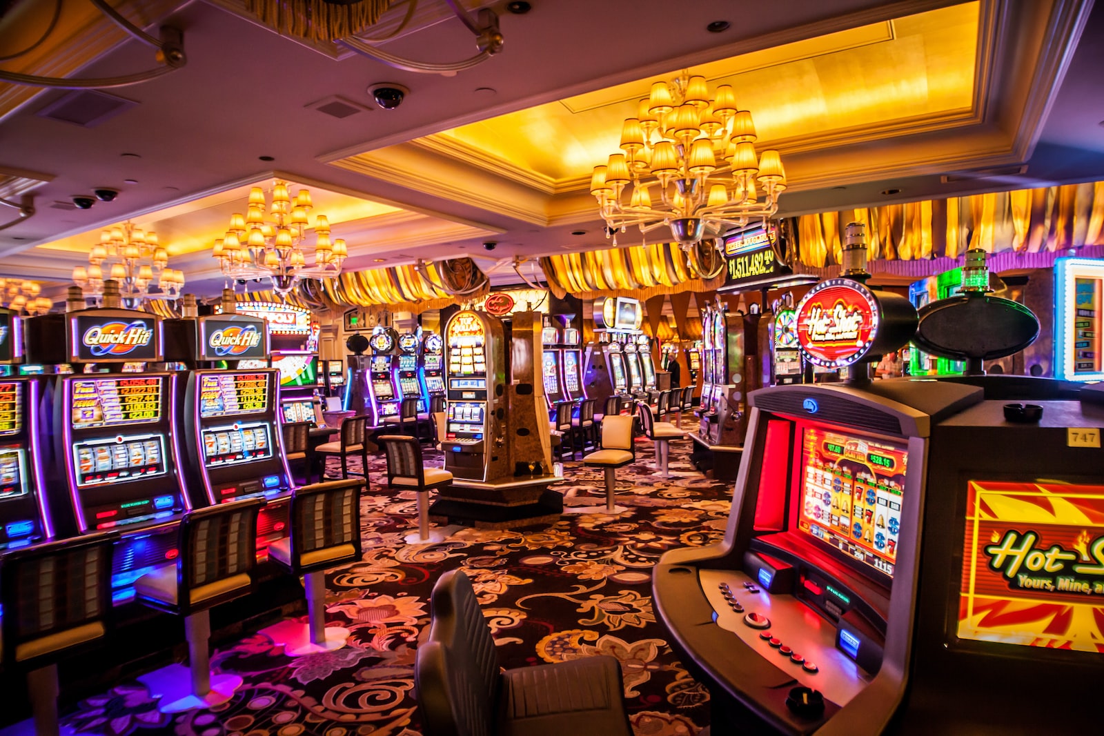 Comment faire en sorte que votre Tortuga Casino Enligne ressemble à un million de dollars