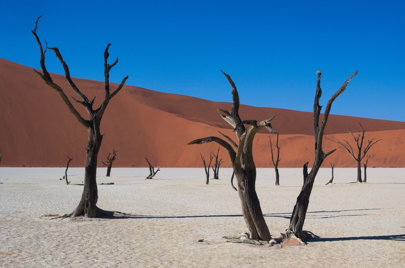 Voyage en Namibie