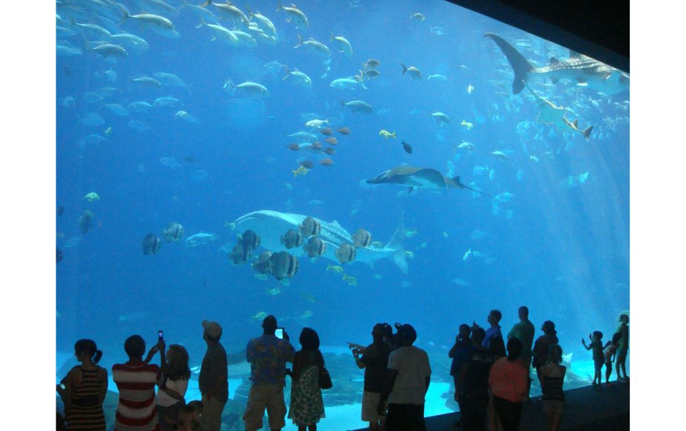 aquarium-arcachon