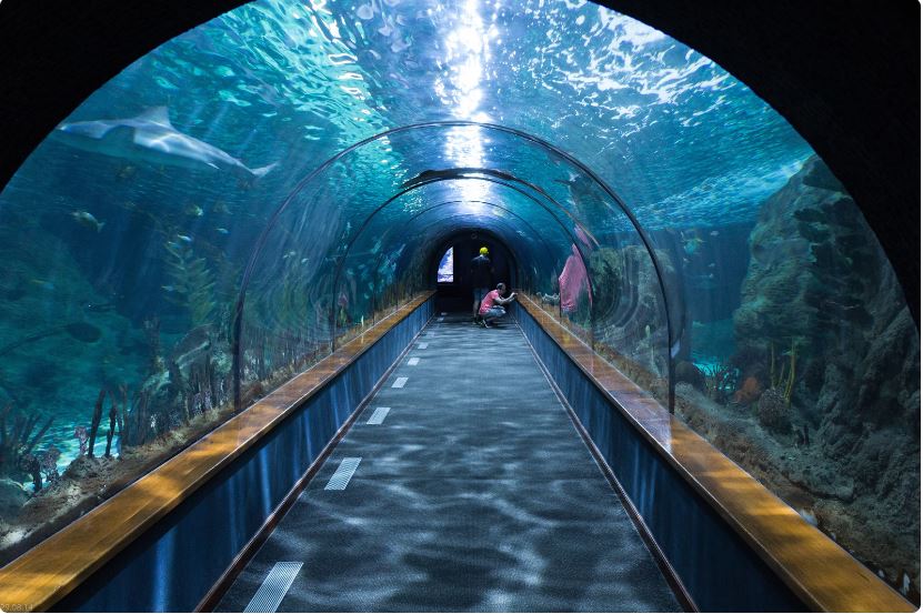 aquarium-arcachon