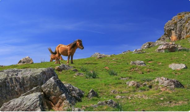 pays-basque